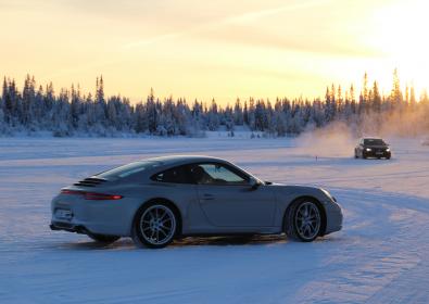 DRIVING EXPERIENCE - 16 salesmen in Sweden